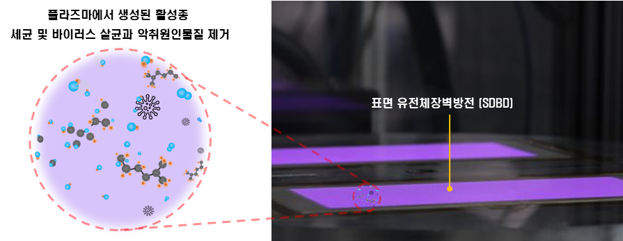OO프레시 현장 사진